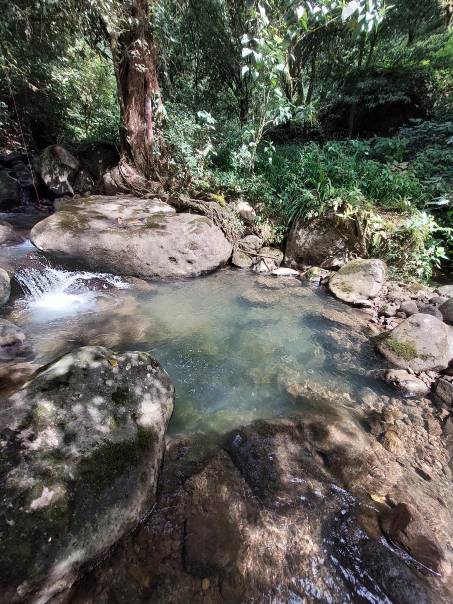 El Zumbito Leilighet El Valle de Anton Rom bilde