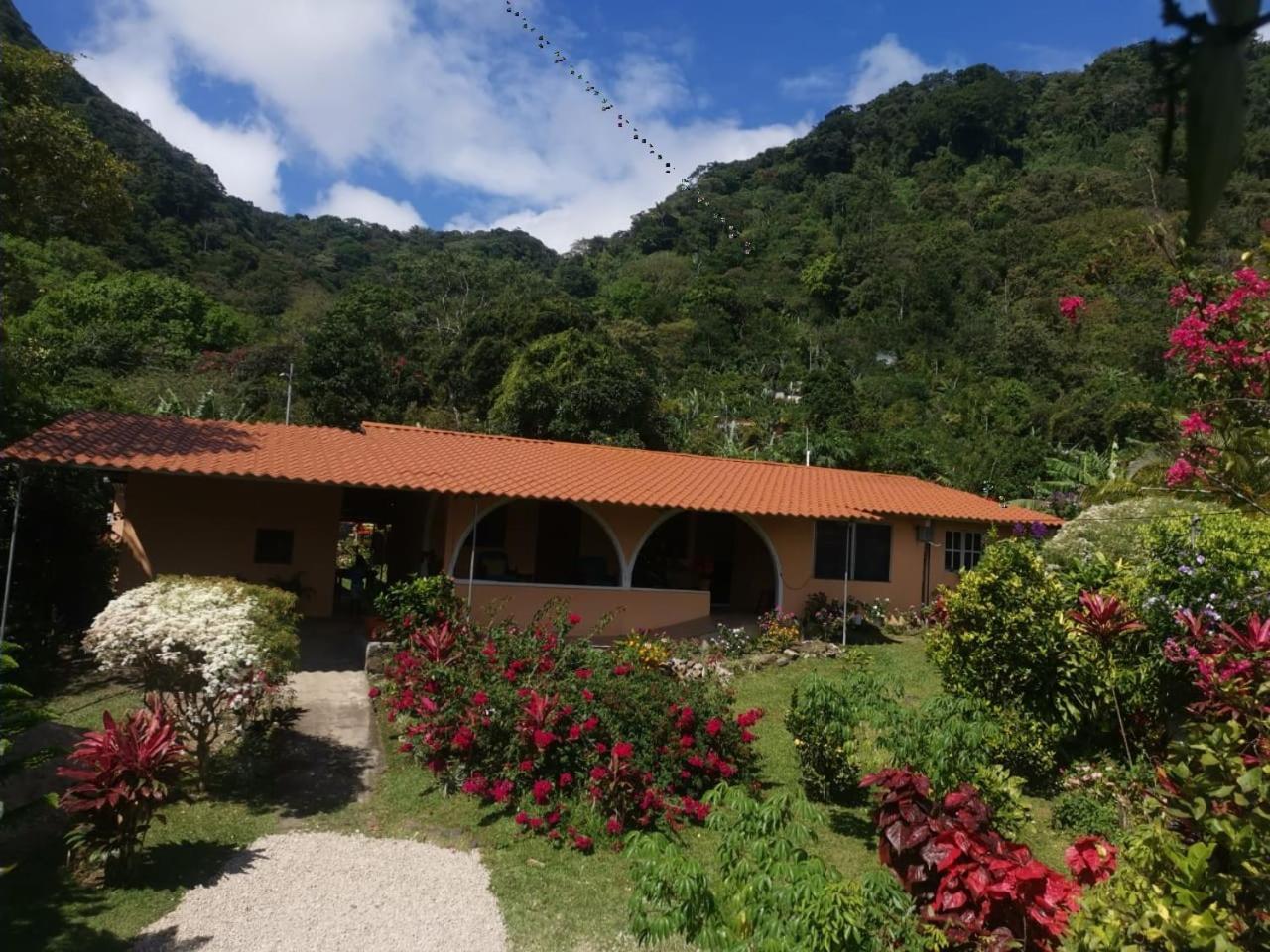 El Zumbito Leilighet El Valle de Anton Rom bilde